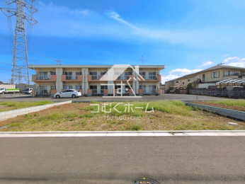 ���n�y�n�ʐ^ -