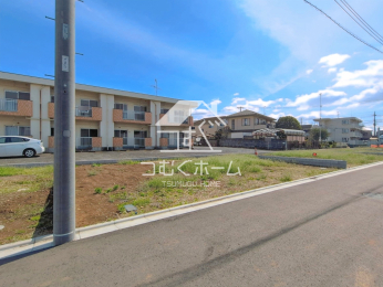 ���n�y�n�ʐ^ -