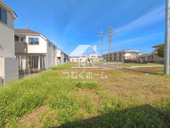 ���n�y�n�ʐ^ -