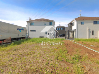 ���n�y�n�ʐ^ -