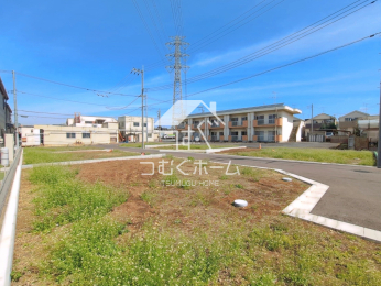 ���n�y�n�ʐ^ -