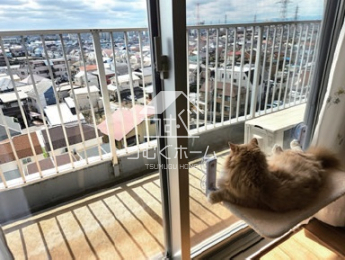 �Z�˂���̒��]�ʐ^ -