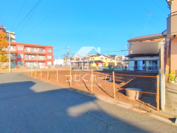 ���n�y�n�ʐ^ -