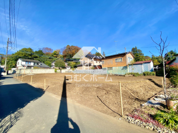 ���n�y�n�ʐ^ -