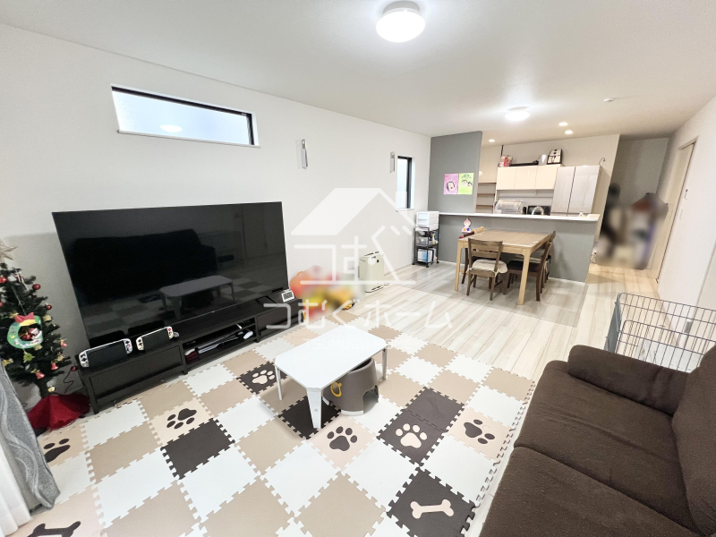 ���r���O -