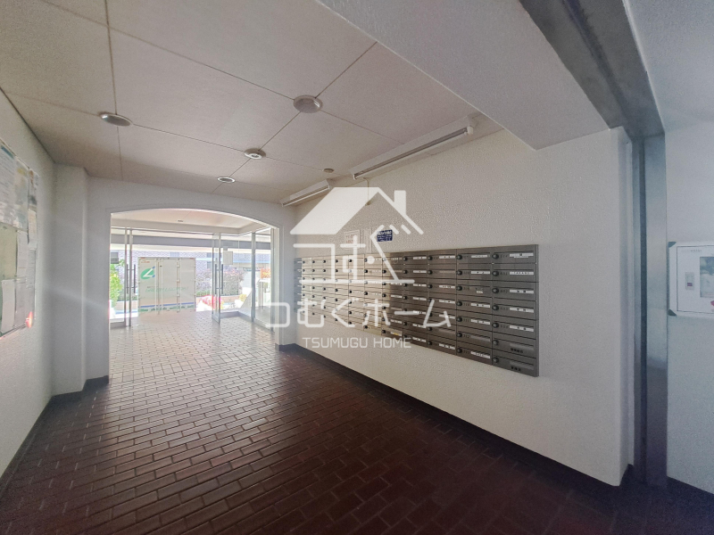 ���̑����p�� -