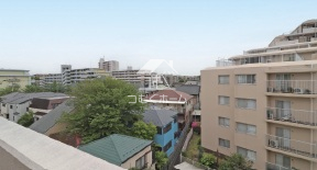�Z�˂���̒��]�ʐ^ -