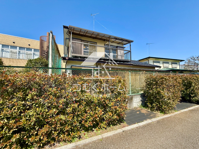 ���n�y�n�ʐ^ -