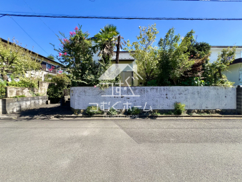 ���n�y�n�ʐ^ -