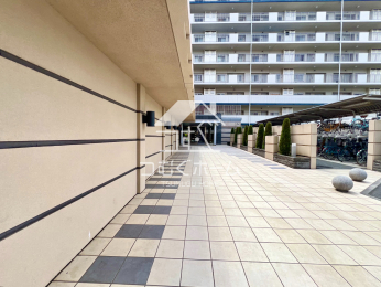 �G���g�����X -